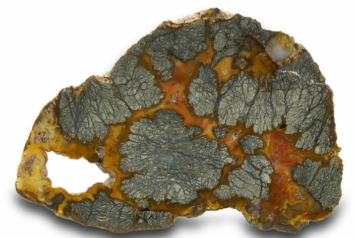 Colorful Polished Marcasite Agate Slab - Indonesia #334896